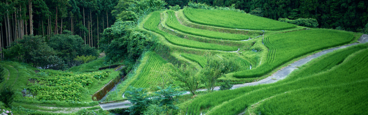 観る/自然 | 上勝町の公式観光サイト