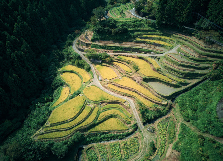 上勝町とは | 上勝町の公式観光サイト