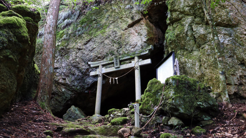 岩泉 ウェルネスの森伊東を贈るなら｜温泉・旅行カタログギフト EXETIME