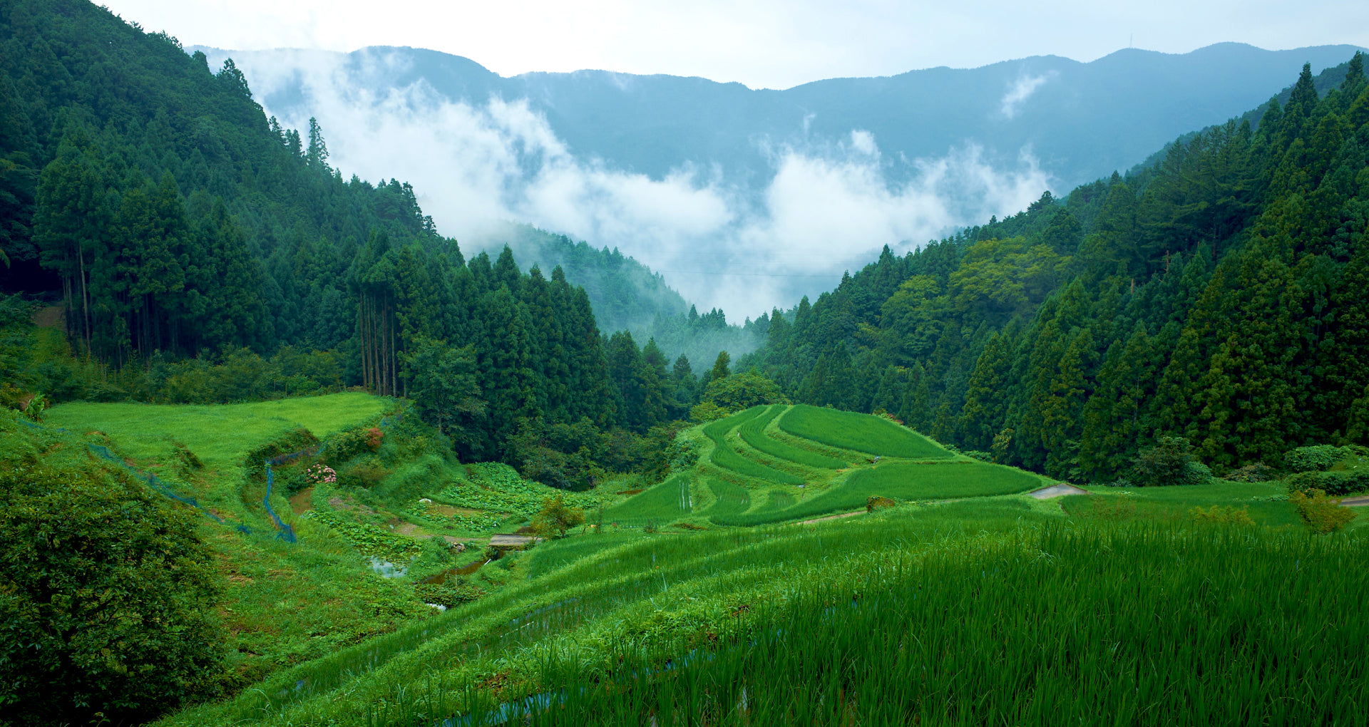 公式】徳島県上勝町観光サイト | ゼロ・ウェイスト宣言をした街