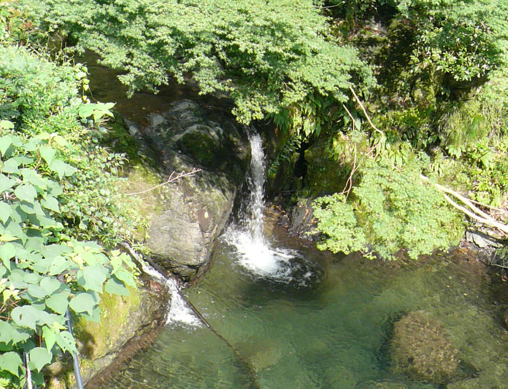 滝と渓谷が彩る絶景の山歩き | 上勝町の公式観光サイト
