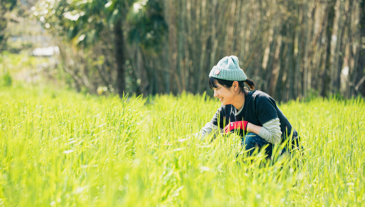 岩場 南会津町 田島の岩場でクライミング Rock Climbing at the rocks of