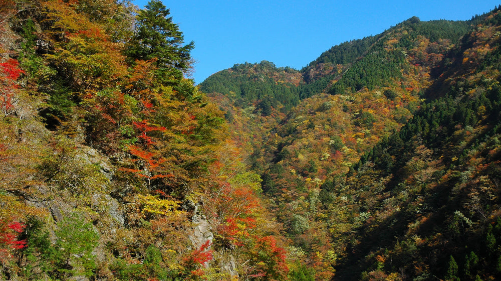 滝と渓谷が彩る絶景の山歩き | 上勝町の公式観光サイト