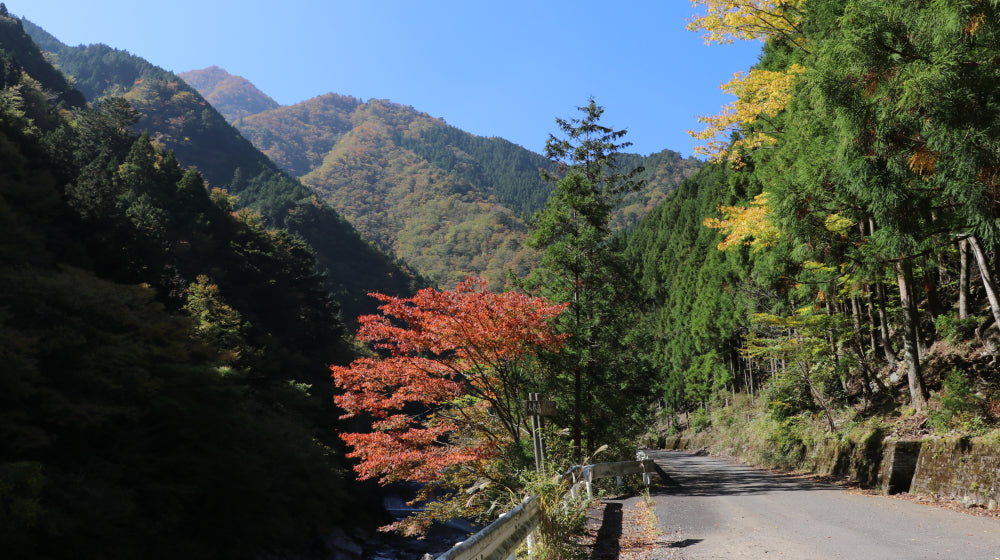 日本の風景写真「山渓カラーデラックス」（大判）全6冊フル